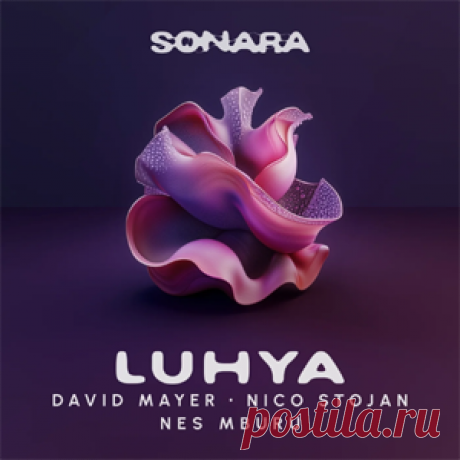 David Mayer, Nico Stojan, Nes Mburu - Luhya | 4DJsonline.com