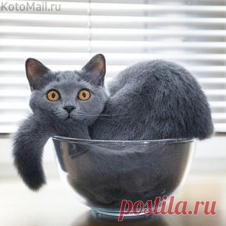 Идеальное место