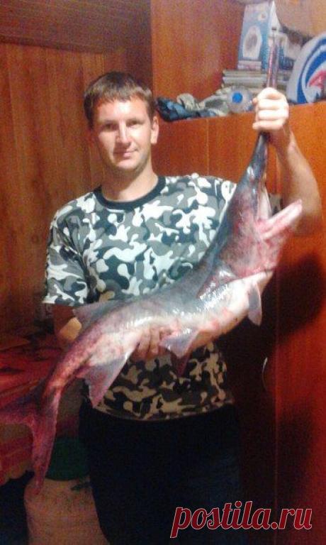 Вот какой улов / Богатая добыча