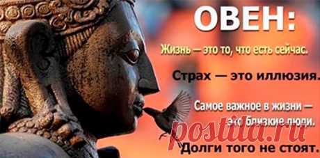 4 жизненных урока для каждого знака зодиака | primewow.ru | Первый и лучший!
