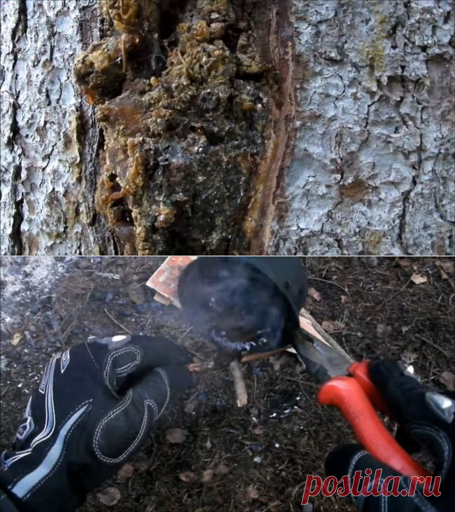 Клей из смолы и древесного угля