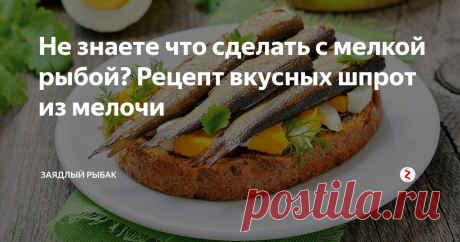 Не знаете что сделать с мелкой рыбой? Рецепт вкусных шпрот из мелочи Раньше у рыболовов не было такого изобилия в покупках как в настоящее время и приходилось рыболовные снасти приманки делать в домашних условиях. Это касается и консервированных продуктов и том числе шпротов.
Сейчас добыть все несложно и причем в разной ценовой категории, а вот раньше, когда был дефицит и за большие деньги не достанешь. Конечно любой продукт, сделанный своими руками, не сравним с п