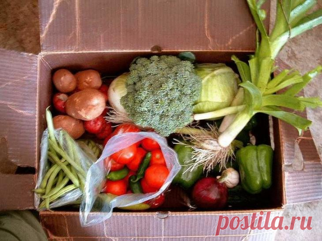Полезные советы, чтобы быть здоровым