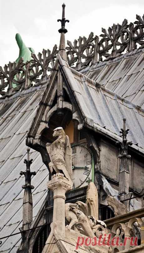 Пользователь Danica . сохранил этот пин на доску «Rooftops and Chimney Pots» / Notre-dame de Paris. 14 agosto 2010  |  Pinterest