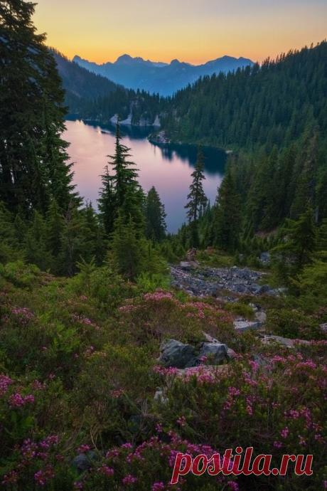 drxgonfly:
“Snow Lake Sunset: Its a Bugs World after all! (by Erwin Buske)
”