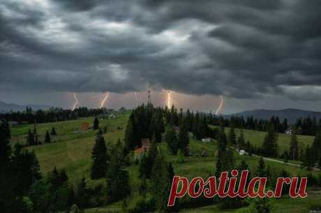 (6) Facebook