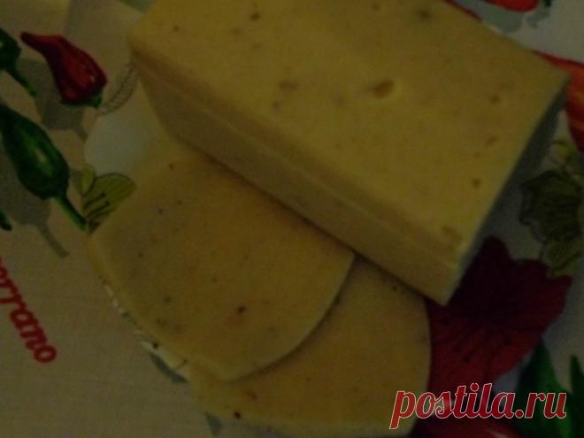 Домашний сыр