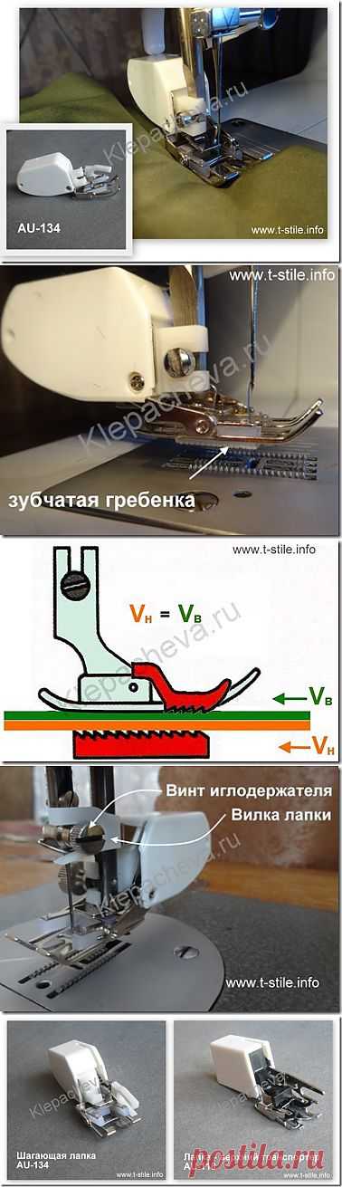 Шагающая лапка | Искусство шить