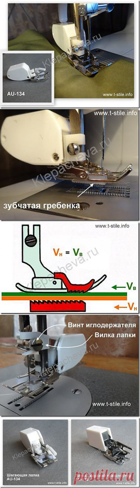 Шагающая лапка | Искусство шить