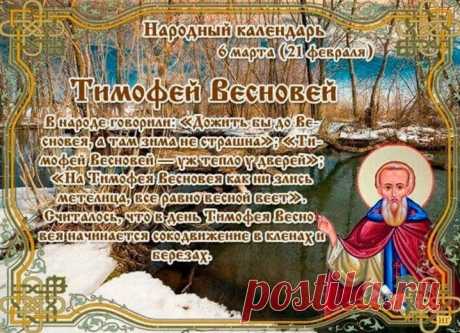 На Тимофея тепло веет – стариков греет.