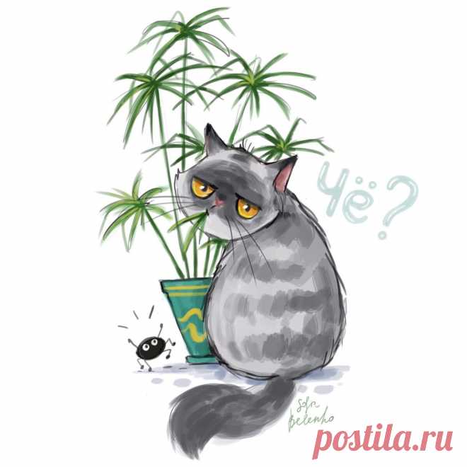 Смешные картинки любят не только дети | Иллюстратор София Беленко | 