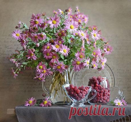 Яндекс.Фотки