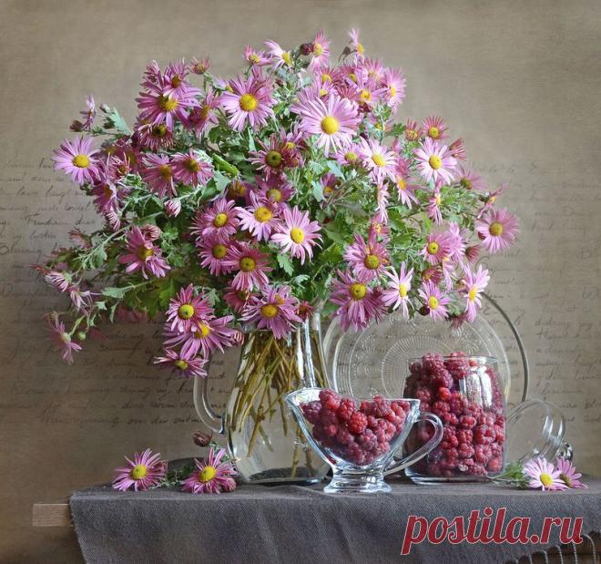 Яндекс.Фотки