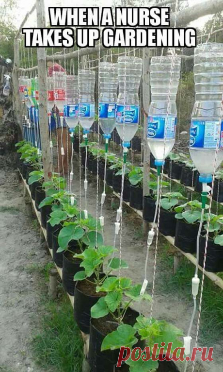 23 Insanely Clever Gardening Ideas on Low Budget – HomeDesignInspired
