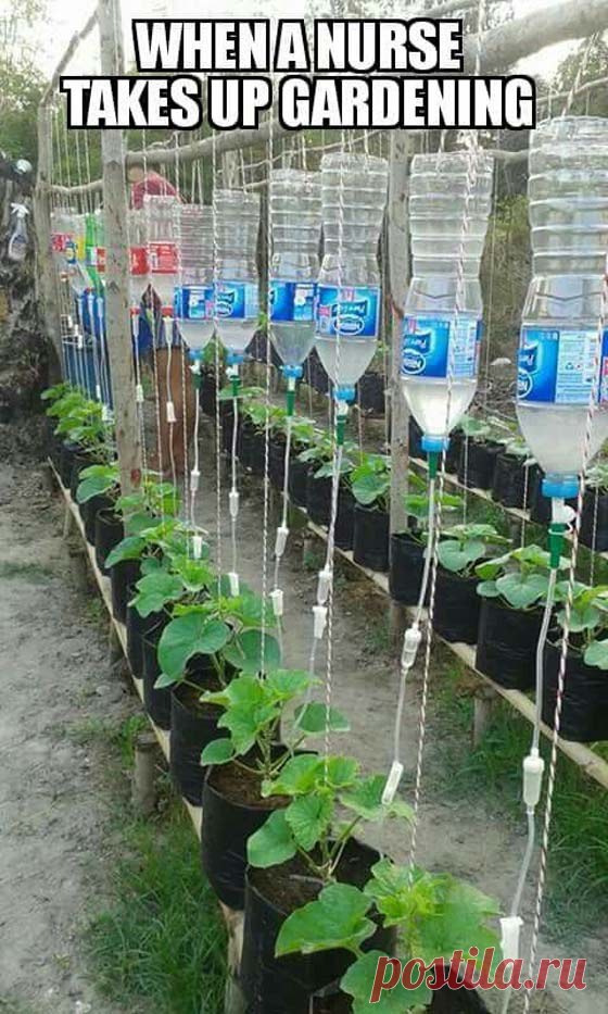 23 Insanely Clever Gardening Ideas on Low Budget – HomeDesignInspired