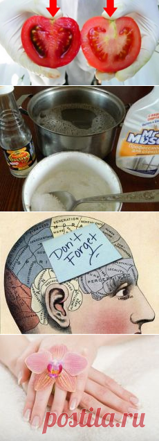 ❀ Летние платья спицами. Помидоры с ГМО. Состав от сорняков. Колдунья. Упражнения для памяти. Маски для рук // Кусочек Постилы к чаю! - lnd2011-55@mail.ru - Почта Mail.Ru