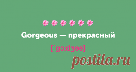 Не просто милашка. 15 новых английских слов на замену cute — Skyeng Magazine