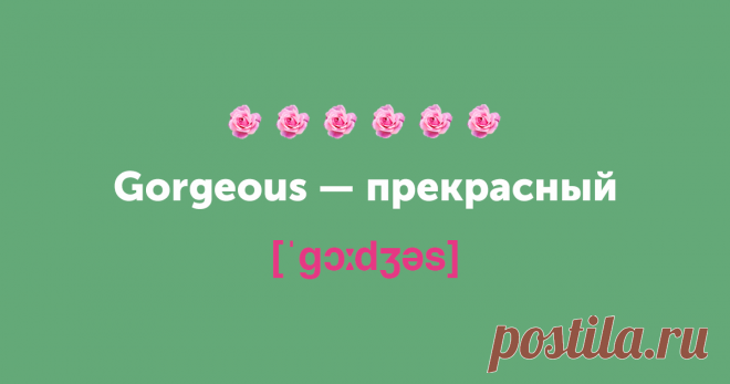 Не просто милашка. 15 новых английских слов на замену cute — Skyeng Magazine