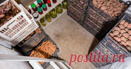 Как навсегда избавиться от сырости в погребе и подвале