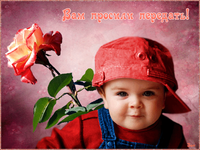 Вам просили передать! — Бесплатные поздравления и открытки