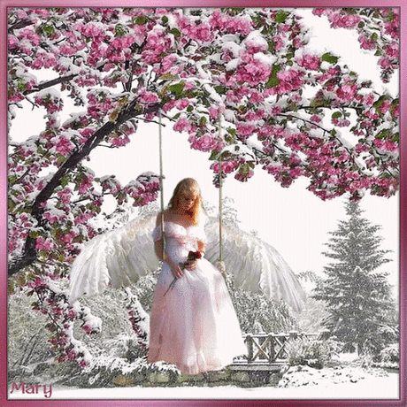 Живые фотографии – Google+