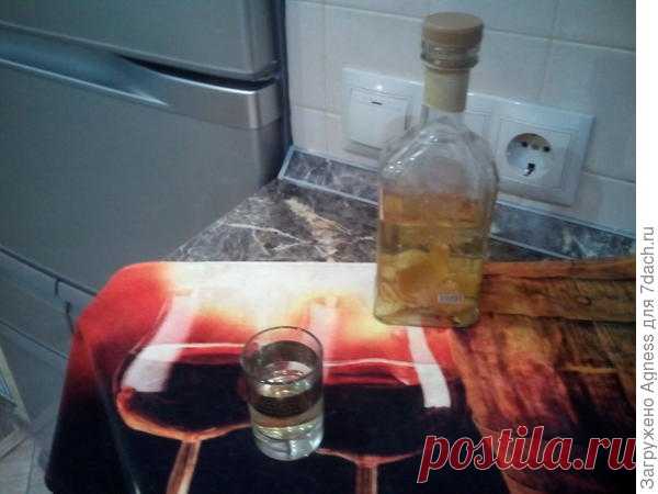 Настойки своими руками