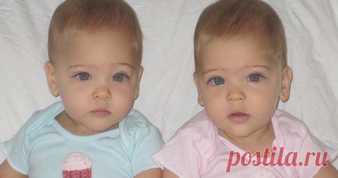 Эти однояйцовые близнецы родились в 2010 году. Сейчас им 7, и их считают «самыми красивыми близнецами в мире» 
Новость о скором пополнении в семействе, как правило, приносит большую радость будущим родителям. А когда женщина вынашивает двоих малышей — это счастье в квадрате.
Однояйцовые близнецы Лиа Роуз и Ав…