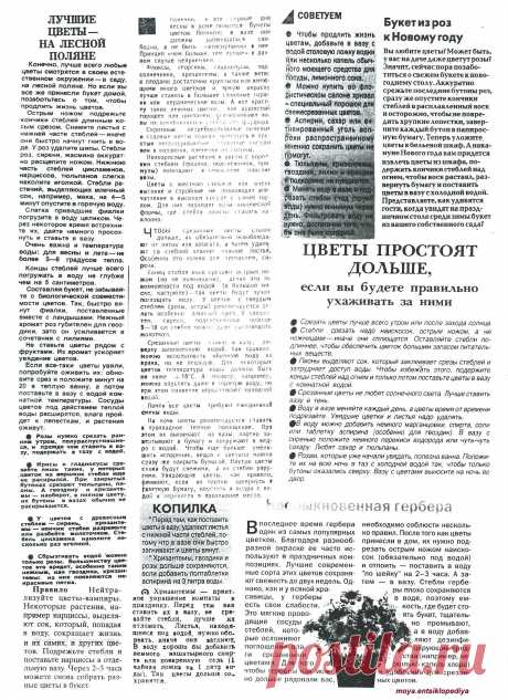 Гербера. Букет из роз к Новому году.