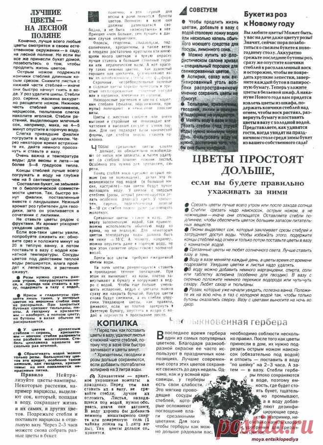 Гербера. Букет из роз к Новому году.