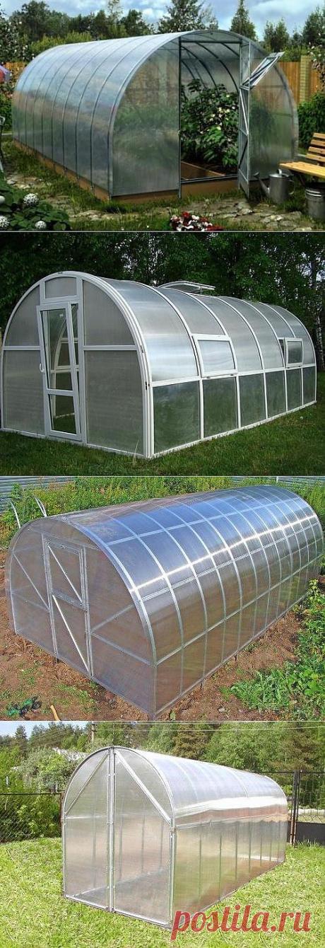 Размеры теплицы: ширина, длина, высота