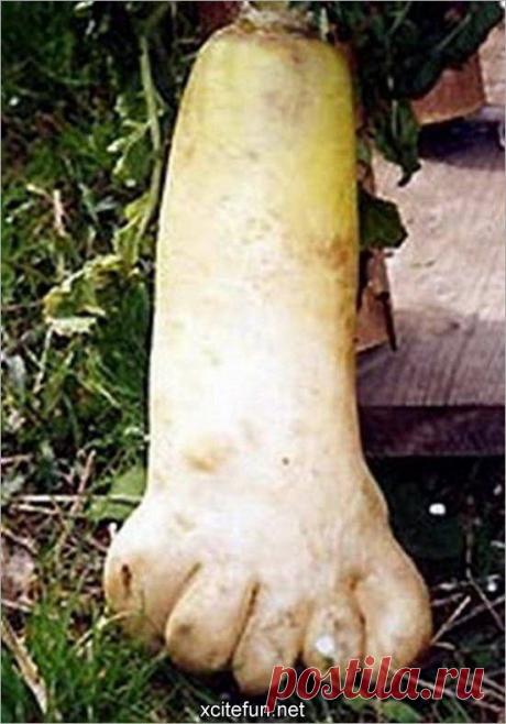 Найдено на сайте forum.xcitefun.net.