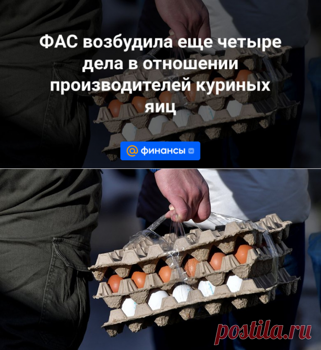 ФАС возбудила еще четыре дела в отношении производителей куриных яиц | 26 декабря 2023 - Финансы Mail.ru