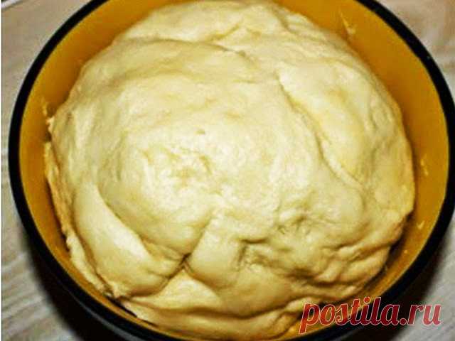 Оладьи как в школе - ПАЛЬЧИКИ ОБЛИЖЕШЬ. Вкуснотища необыкновенная!: Универсальное тесто на майонезе. Подходит для любой выпечки!