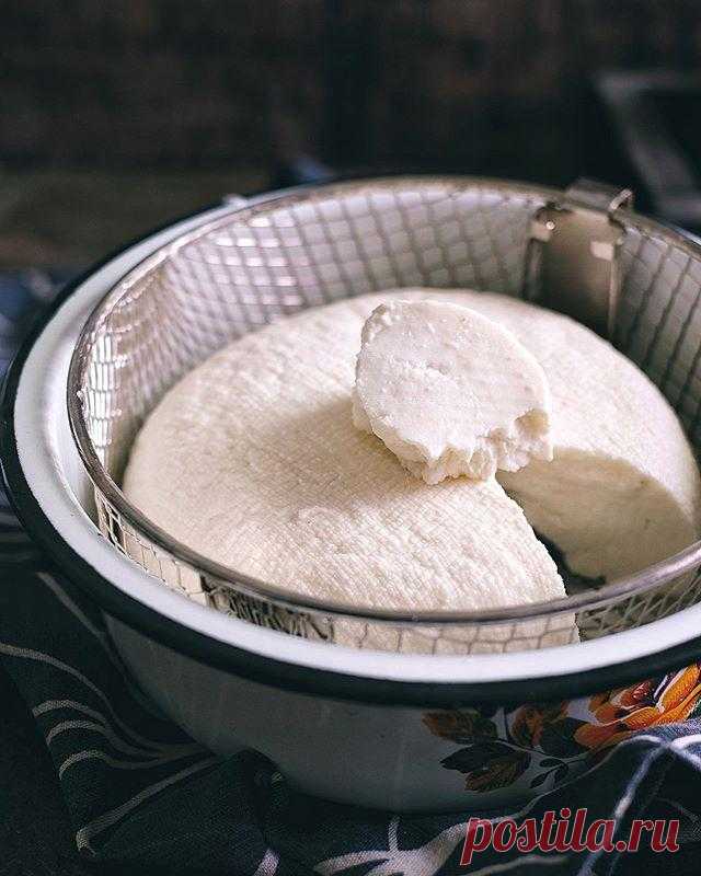 Проще простого! Готовим брынзу дома и наслаждаемся вкусными блюдами