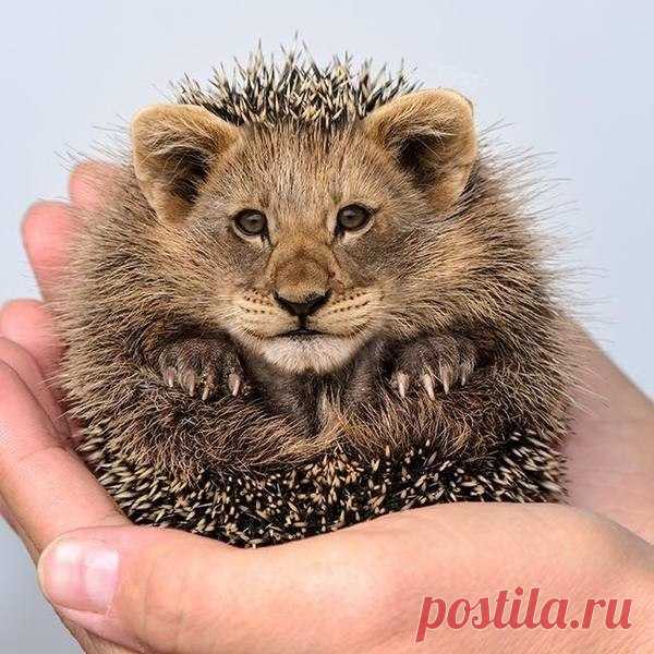Красноярск: что, где, куда