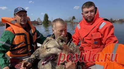 Подразделения Ямалспаса оказали помощь 970 жителям за полгода. Подразделения Ямалспаса оказали помощь 970 жителям региона за полгода, также проведено более 760 аварийно-спасательных работ. Читать далее