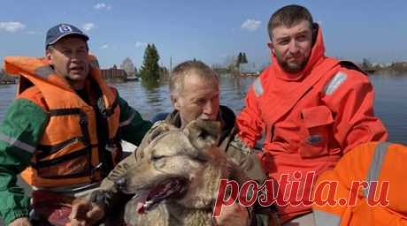 Подразделения Ямалспаса оказали помощь 970 жителям за полгода. Подразделения Ямалспаса оказали помощь 970 жителям региона за полгода, также проведено более 760 аварийно-спасательных работ. Читать далее