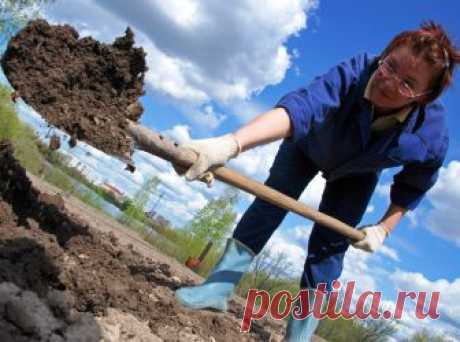 (+1) тема - Советы дачникам и огородникам. Часть 2 | 6 соток