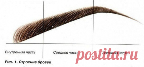 Идеальная форма бровей под ваше личико 

 1. Закругленная форма бровей - смягчает черты лица и поможет сбалансировать лицо тех девушек, которое имеет острые и жесткие формы костной структуры.

 2. Острые брови — такая форма бровей создает лифтинг-эффект для глаз, имеющих опущенные уголки, также подходит для круглой формы лица.

 3. Изгиб в форме арки - считается идеальной, классической формой бровей. Эта форма похожа на острую, но в более мягкой версии, женственной.

 4. Б...
