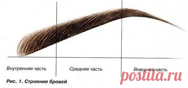 Идеальная форма бровей под ваше личико 

 1. Закругленная форма бровей - смягчает черты лица и поможет сбалансировать лицо тех девушек, которое имеет острые и жесткие формы костной структуры.

 2. Острые брови — такая форма бровей создает лифтинг-эффект для глаз, имеющих опущенные уголки, также подходит для круглой формы лица.
Показать полностью…