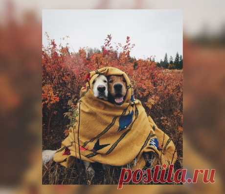 🍁 Пришла осенняя грустинка, здесь не поможет витаминка! Помогут только обнимашки, горячий чай и целовашки. Давайте холодам назло, дарить душевное тепло! ღ