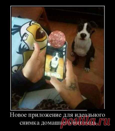 Новое приложение