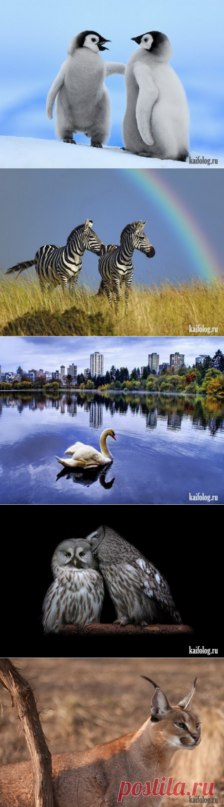 Красота мира (60 фото)