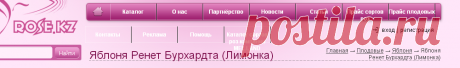 Сорта яблок
