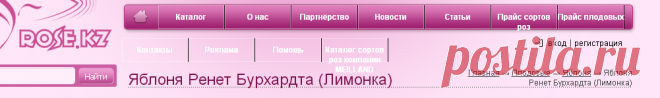 Сорта яблок