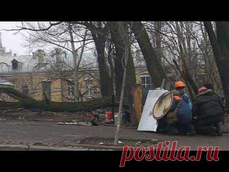 Полное видео нападения бандитов Беркута на Майдан: безоружных людей безнаказанно расстреливают автоматчики. ВИДЕО - Беркут, избиение, смерть, убийство, евромайдан, Революция в Украине (22.02.14 22:53) « Политика Украины « Цензор видео | Цензор.НЕТ