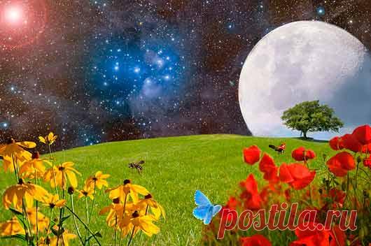 Лунный посевной календарь 2018 - таблицы посевов, календарь работ 2018