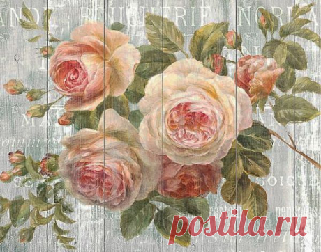 Pin by Shea Ricci on Ephemera Floral