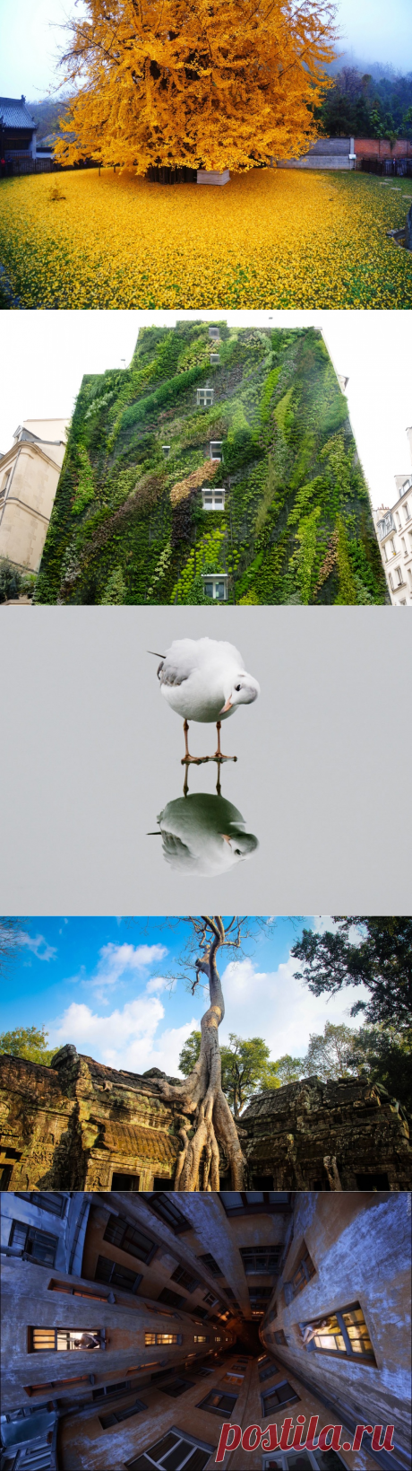 26 фото, которые доказывают, что мир прекрасен и без фотошопа