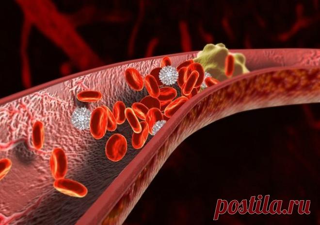 Коктейль, который избавит от тромбов | Polza-vred.su